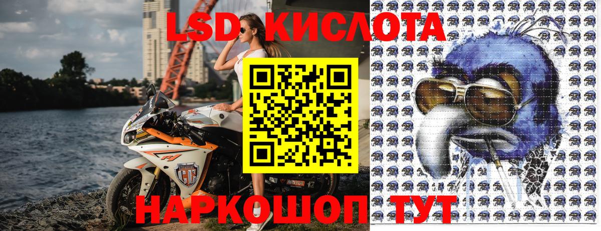 Камышин  купить  сайты  Вход с VPN  Марки N-bome 1,5мг  Марки N-bome 1,5мг 